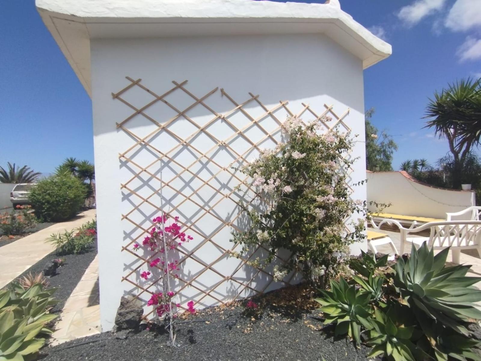 Casa Ina In El Roque, El Cotillo Ngoại thất bức ảnh